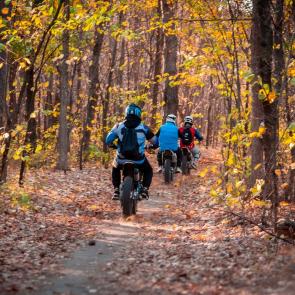 ����: ����������