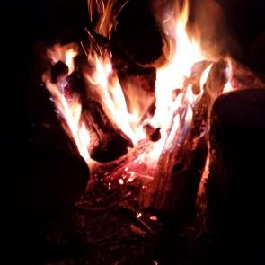 ����: �������� ��������