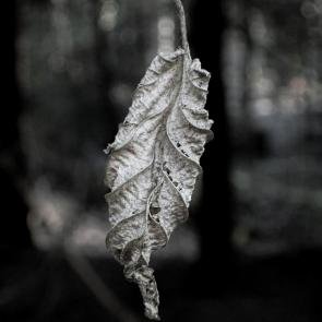 ����: ������������ ����...