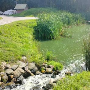 ����: �������.