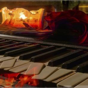 ����: �����.