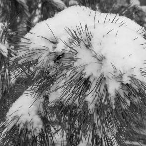 ����������� �����