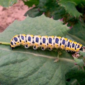 ����: �������� ����� �����������