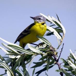 ����: ������ �� �����.