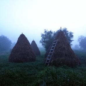 ����: �����