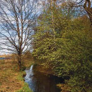 ����: ��������...