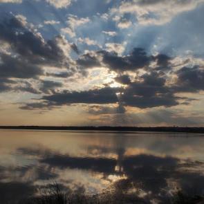 ����: �����