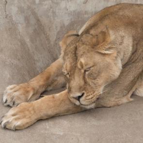 ����: ��������� ������