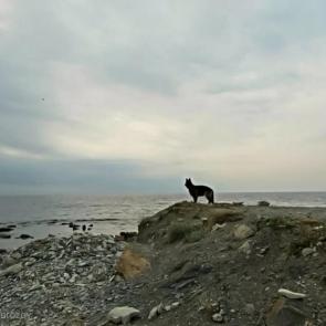 ���������� ��������� ���������