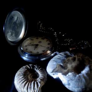 ����: ������������ �������