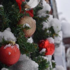 ����: ������ ���� 