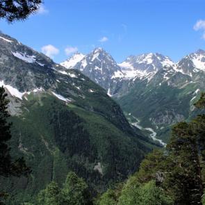 ����: ���� ������� 