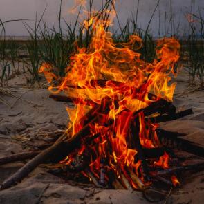 ����: �� ������ ����