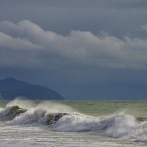 ������ ���