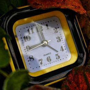 ����: ������� �����