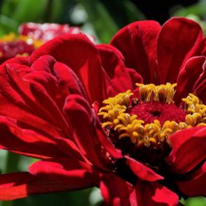 ����: ������� � ������� �����