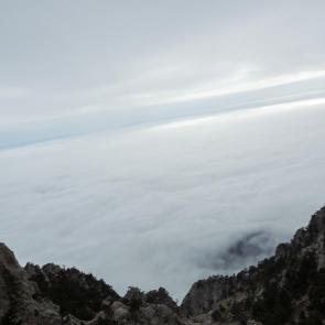 ����: ��� �������� 