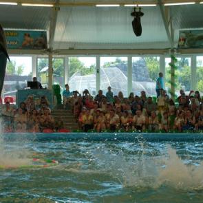 ����: ������.