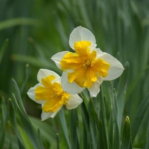 ���� ��������: ���� ��������, �� ���... 