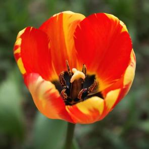 ����: ������ ���� ))