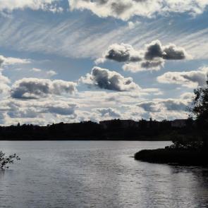 ���� ��������: ���������� ���� 