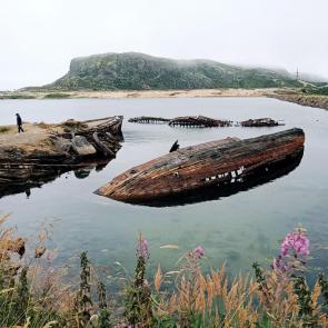 ���� ��������: 