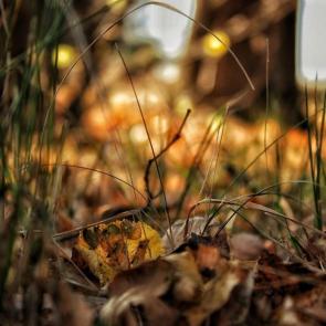 ����: ����� ������