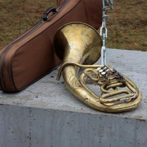 ���� ��������: ��������