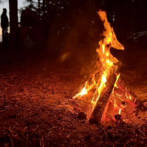 ����� ����