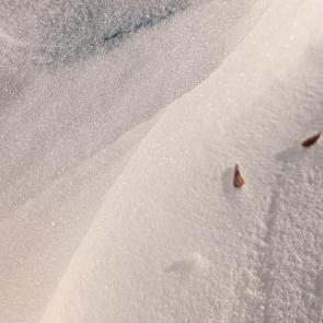 ����������� �����