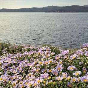 ���� ��������: �����������