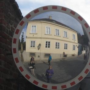 ����: ���������