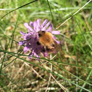 ���� ��������: ����� 