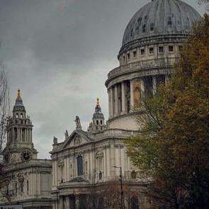 ���� ��������: 