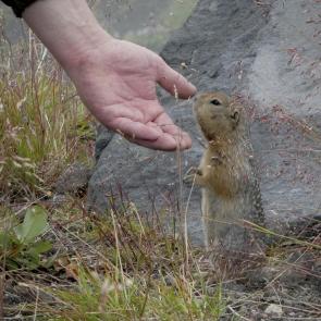 ���� ��������: � ���� ��� � ���� ���?