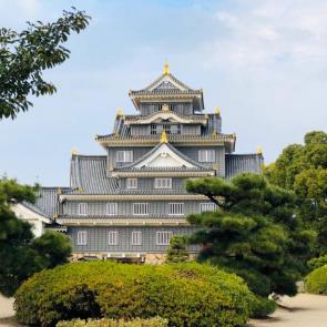 ���� ��������: ������ ������