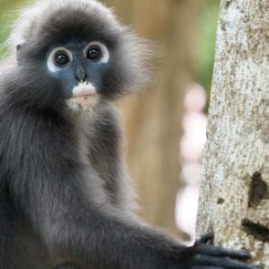 ����: ������� ������