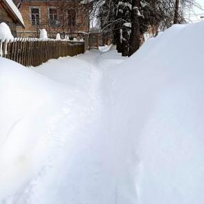 ����: ����� ���������