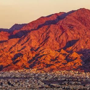 ���� ��������: ��������.�����.�� ������.