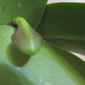 ������ � �����