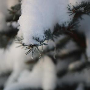 ����������� �����