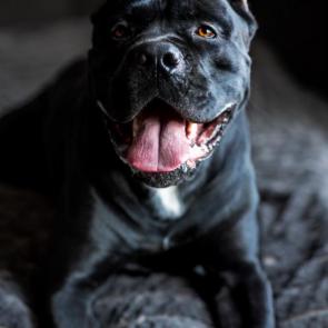 ���� ��������: ���� - ����-�����