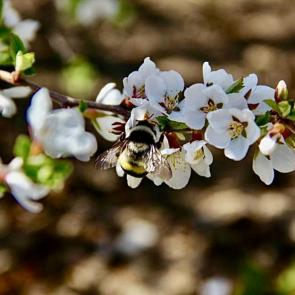 ����: ����� �����