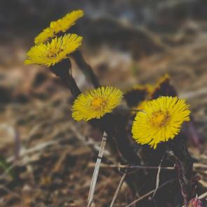 ����: ���� � ������ 