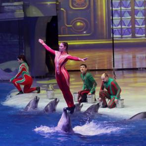 ����: �������������