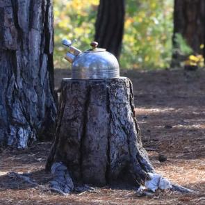 ����: ����� �������