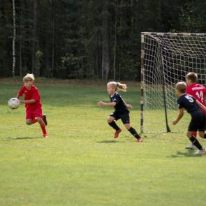 ����: ��� ������!