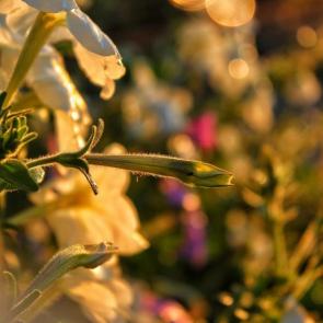 ����: ������� � ������ 