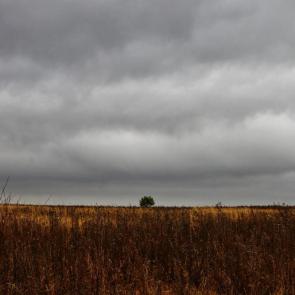 ����: ��� �������, � �� ��������� 