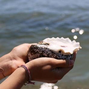 ����: ���� � ������